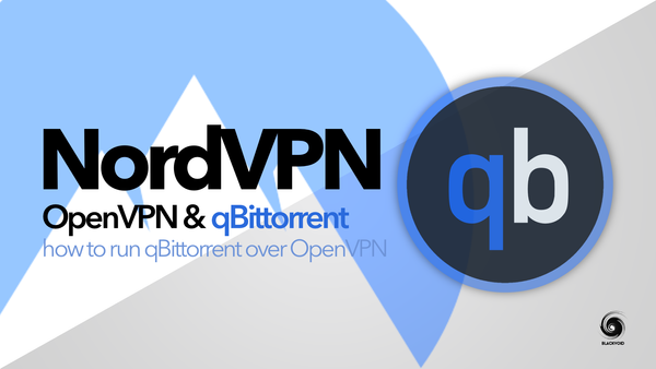 qBittorrent via VPN docker container running on Synology NAS